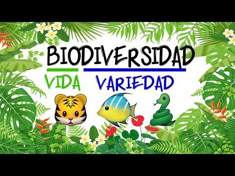 ¿Qué tipo de diversidad encontramos en nuestro país?