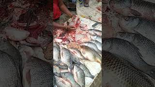 Bangalore Local Fish Yeshwanthpur BK Nagar #fishing #fish #Local_Fish #fishingvideo #localfish