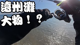 【遠州灘＆浜名湖】12月中旬にあちこちで釣りしてきたのでまとめました