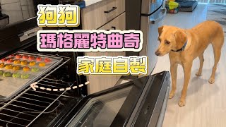 [Eng Sub]Margaret Cookies: Making Homemade Dog Cookies for My Dog|玛格丽特曲奇：第一次自制狗狗饼干