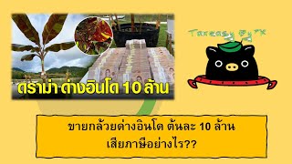 ขายกล้วยด่างอินโด ต้นละ 10 ล้าน เสียภาษีอย่างไร?? คลิปนี้มีคำตอบ👉👉