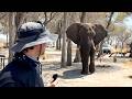 Camping in WILD Botswana!