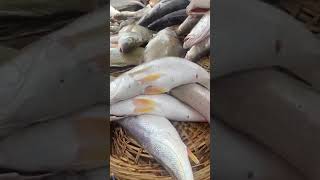 Makoko fish market, Lagos, Nigeria.