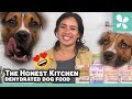 The Honest Kitchen Preservative Free Dehydrated Dog Food Review