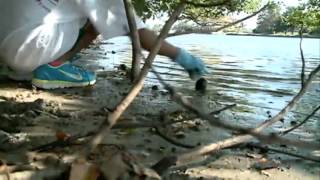 Volunteers sweep the beach to clean up after Isaac