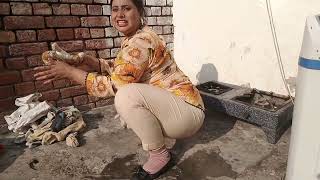 Aj Sardi Mein Kam Kia _ Pakistani Married Village Woman Work _ Punjab Culture