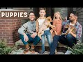 Puppies | Dustin and Burton | Raising Buffaloes