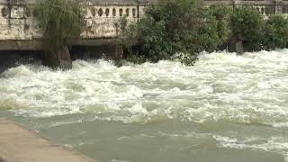 ಇದೇ ನೋಡಿ ಸಂಗಮ ಮತ್ತು ಮೇಕೆದಾಟು ಫಾಲ್ಸ್ - Mekedatu falls water flow | Karnataka the best Gals water flow