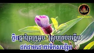 ៚🍃☘️💦 សន្សើមផ្កាព្រៃ / Sorn'Seurm Phka Preiy 💦☘️🍃៚ ច្រៀងដោយ៖ លោក ព្រាប សុវត្ថិ | Mr. Preap Sovath