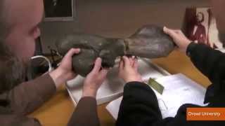 Turtle Bone Found in 1800s Finally Reunited With its Other Half