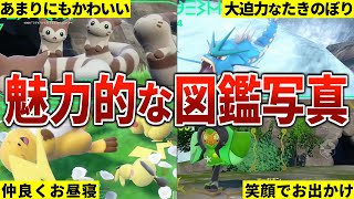 ポケモンの魅力が詰まったキタカミ図鑑の表紙写真16選【ポケモンSV DLC】