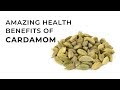 Episode 428 - The Amazing Health Benefits of Cardamom