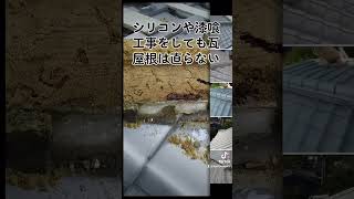 シリコンや漆喰では瓦屋根は直らない #京都瓦工事 #かわらぶき1級技能士 #長岡京市