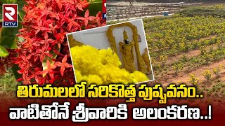 Srivari flower garden In Tirumala temple : తిరుమలలో శ్రీవారి కోసం సరికొత్త పుష్పవనం ||RTV