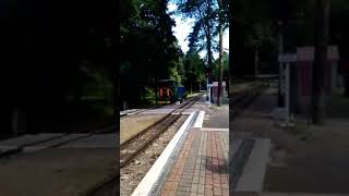 Тепловоз ТУ7А 3198 совершает монёвры на ст. Парк. Харьковская ДЖД.