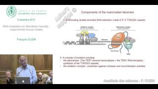 [EN] കോൺഫറൻസ് - F. CUZIN - RNA-മെഡിലിയൻ നോൺ മെൻഡലിയൻ പാരമ്പര്യ പരീക്ഷണാത്മക മൗസ് മോഡലുകൾ