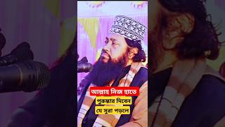 আল্লাহ নিজ হাতে পুরুষ্কার দিবেন যে সুরাটি পড়লে।আল্লামা তারেক মনোয়ারের.#vairalshort imanerpothe82