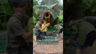 Feeding Triceratops at Garut Dinoland #wisatagarut #garutdinoland