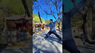 八卦刀初练 #kungfu #martialarts #中华武术 #karate #传统文化 #八卦掌 #wushu #太极 #taekwondo