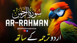 Most Heart Touching Recitation | Ep-00207 | Morning Most Peaceful Recitation of Surah Rahman