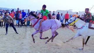 বঙ্গবীর বুলেট ও খান বাহাদুর ঘোড়ার ৩ সামের গ্রুপের ফাইনাল ঘোড়া দৌড় প্রতিযোগিতা🐎Horse Racing🐎MH TV