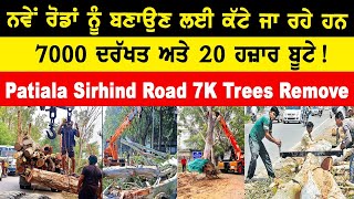 Patiala Sirhind Road 7K Trees Remove ਨਵੇਂ ਰੋਡਾਂ ਨੂੰ ਬਣਾਉਣ ਲਈ ਕੱਟੇ  7000 ਦਰੱਖਤ ਅਤੇ 20 ਹਜ਼ਾਰ ਬੂਟੇ