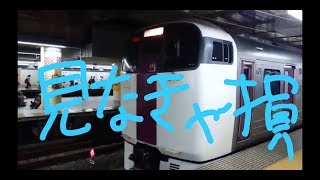 【特急券不要で特急列車に乗る方法】便利！ホリデー快速で新宿から山梨に行ってきたよ！