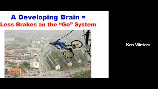 Understanding Suicide Part 2 Adolescents and the Changing Brain