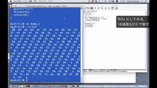 1byteの数列としてのファイル, C言語のファイルI/O