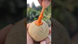 Tasty Masala Woodapple (Kodbel) 🤤 | #shorts #streetfood #trending #fruit