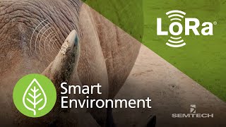 LoRa-based Wildlife Protections with Smart Parks