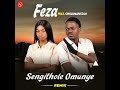 Feza - Sengithole Omunye (Official Audio) feat. Chulumanco M