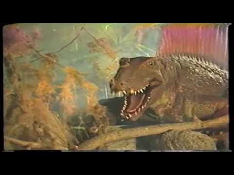 Dinamation Dinosaurs B-Roll, 1987 - YouTube