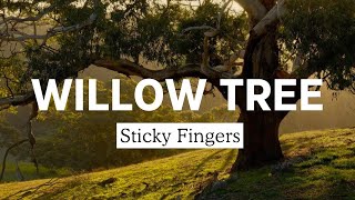 Sticky Fingers - Willow Tree (Lyrics)