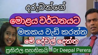 දරුවන්ගේ මොළය, මතකය, වර්ධනයට මේ දේවල් දෙන්න