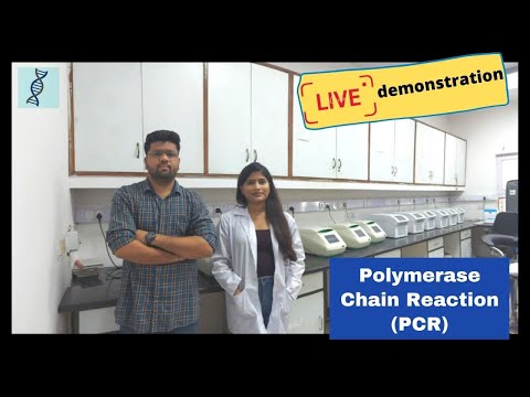 Polymerase Chain Reaction (PCR) Live Demonstration. Practical process for PCR