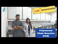 Polymerase Chain Reaction (PCR) Live demonstration. Practical process for PCR