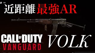 強いと噂の『VOLK』レベル上げ途中の状態で神クラスの無双をしてしまう【COD:V】