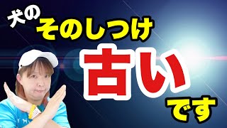 【犬のしつけ】 それって５０年前の考え方・しつけです！今の時代に必要なのは『しつけ』よりも・・