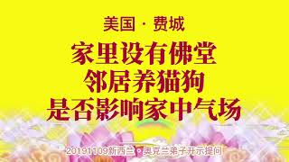 卢台长开示：家里设有佛堂，邻居养猫狗是否影响家中气场2019-11-9新西兰，奥克兰弟子开示提问