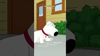 𝚏𝚊𝚖𝚒𝚕𝚢 𝚐𝚛𝚒𝚏𝚏𝚒𝚗𝚜 daily hilarious -  Every dog in Quahog😂 #familyguy #briangriffin #pe