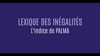 Lexique des inégalités : l'indice de Palma