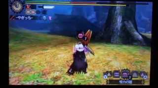 MH4G【`イビルジョーの狩猟‘Lv140】お守りなし操虫棍10分51`80