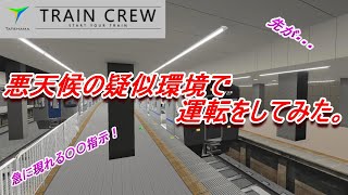 【TRAIN CREW】悪天候を疑似体験してみた。