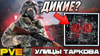 Как Работают Дикие В PVE на Улицах Таркова? [Escape from Tarkov]