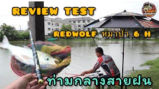 รีวิวเทสคันชิงหลิวรุ่นใหม่ REDWOLF หมาป่า 6H #ชิงหลิว #รีวิว