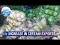 Increase in certain exports (News Today) l KBS WORLD TV 210617