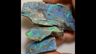 284.0 cts Australian Rough Fossils Opal Parcel, Lightning Ridge