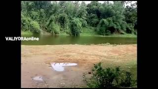 പുഴ നിറയുന്ന അപ്പൂർവ്വ വീഡിയോ | kerala river | Kerala viral video