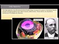 Standard 9 Science The cell organelles II | Quick revision | NCERT | Animation